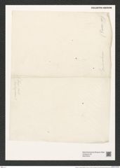 Triceratium muricatum Brightw. (de-Toni-Nr.: Genus 140, Species 3734) Zeichnungen Sammlung Grunow (NHMW-BOT-W0376244)